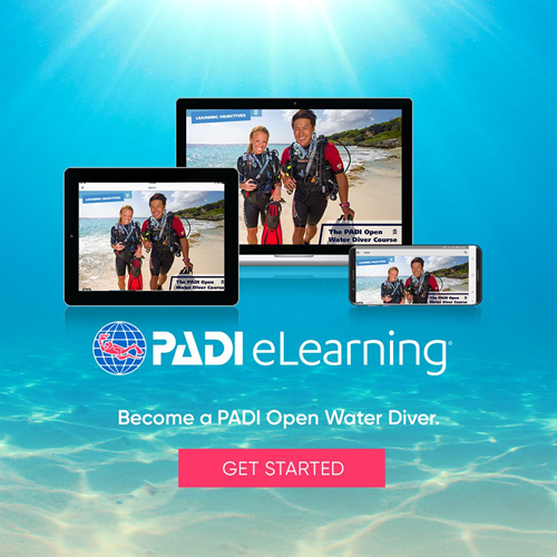Open Water Diver Referral
